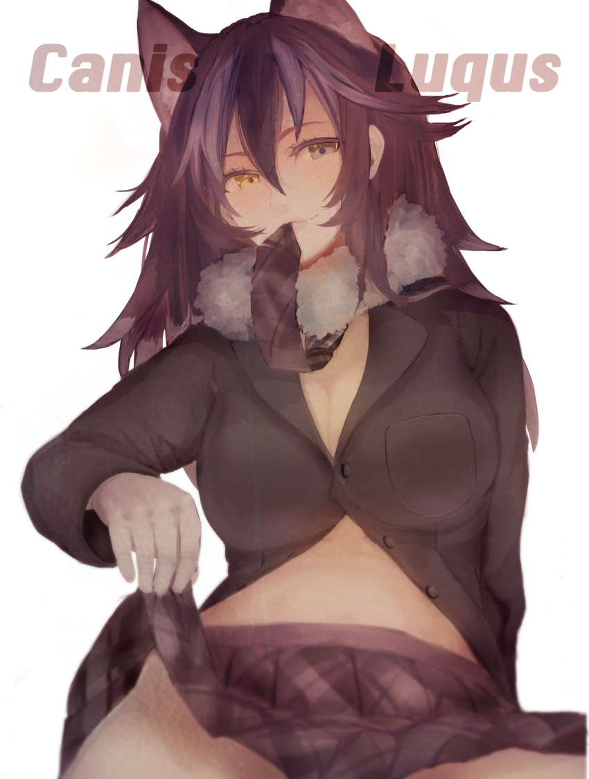 1girl, absurdres, ancolatte_(onikuanco), animal_ears, black_hair, blue_eyes, breasts, buttons, character_name, cleavage, fang, fur_collar, gloves, grey_wolf_(kemono_friends), heterochromia, highres, kemono_friends, large_breasts, latin, long_hair, long_sleeves, looking_at_viewer, multicolored_hair, necktie_on_mouth, skirt, skirt_lift, smile, solo, two-tone_hair, white_background, white_gloves, wolf_ears, yellow_eyes