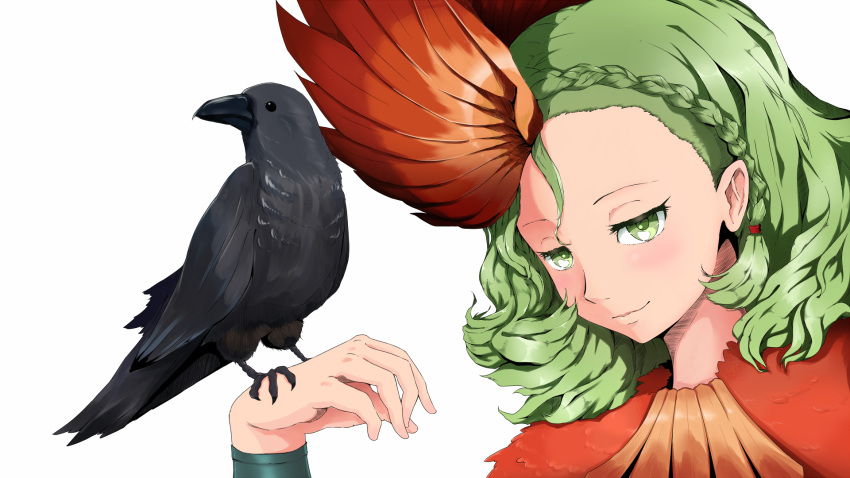 1girl, bird, braid, crow, feathered_wings, feathers, green_eyes, green_hair