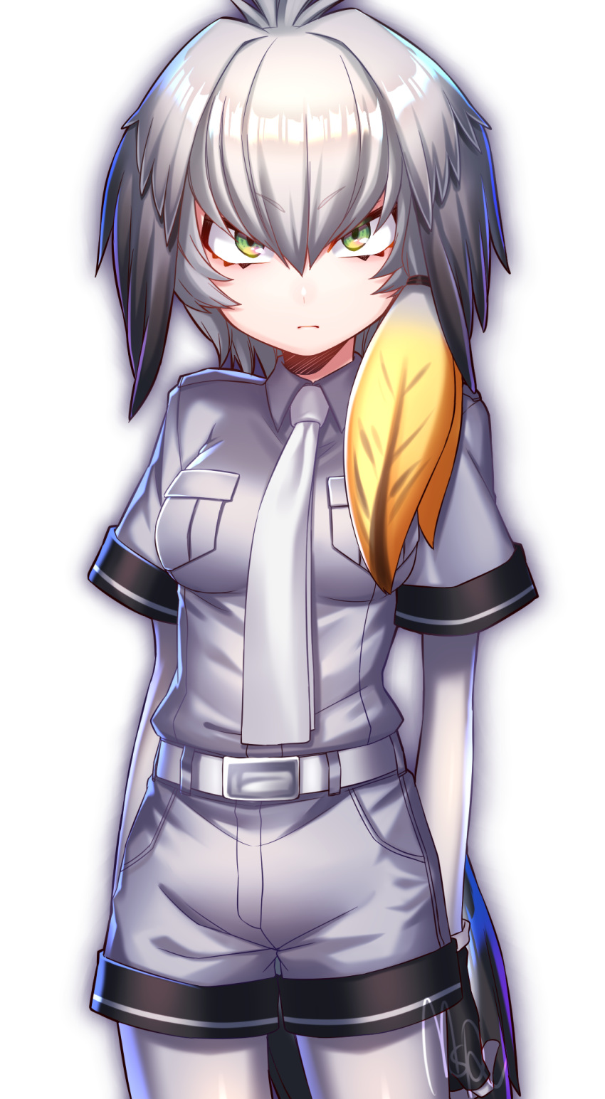 1girl, bangs, belt, bird_wings, black_gloves, black_hair, bodystocking, breast_pocket, breasts, closed_mouth, collared_shirt, cowboy_shot, eyebrows_visible_through_hair, fingerless_gloves, gloves, green_eyes, grey_hair, grey_shirt, grey_shorts, hair_between_eyes, head_wings, highres, kemono_friends, long_hair, looking_at_viewer, low_ponytail, medium_breasts, multicolored_hair, necktie, pocket, rom, shirt, shoebill_(kemono_friends), short_sleeves, shorts, side_ponytail, silver_hair, solo, white_necktie, wings