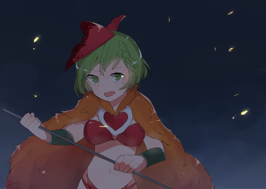 12longhappy, 1girl, braid, cape, feathers, green_eyes, green_hair, juuni_taisen