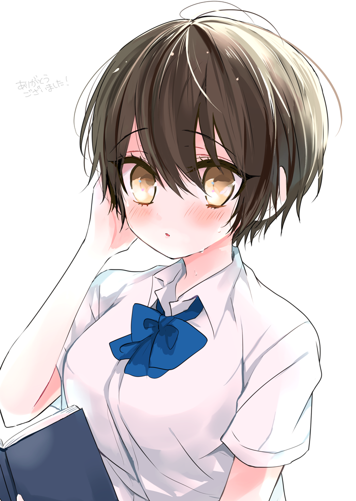 1girl, amesawa_mokke, bangs, blouse, blush, book, breasts, brown_eyes