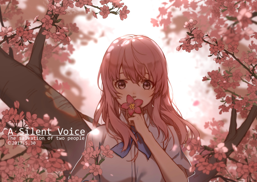 1girl, 2017, absurdres, blue_ribbon, brown_eyes, copyright_name, dated, day, dress_shirt, floating_hair, flower_on_mouth, hair_between_eyes, highres, koe_no_katachi, long_hair, looking_at_viewer, neck_ribbon, nishimi, nishimiya_shouko, outdoors, pink_flower, pink_hair, ribbon, shirt, solo, tree, upper_body, wan'eno, white_shirt
