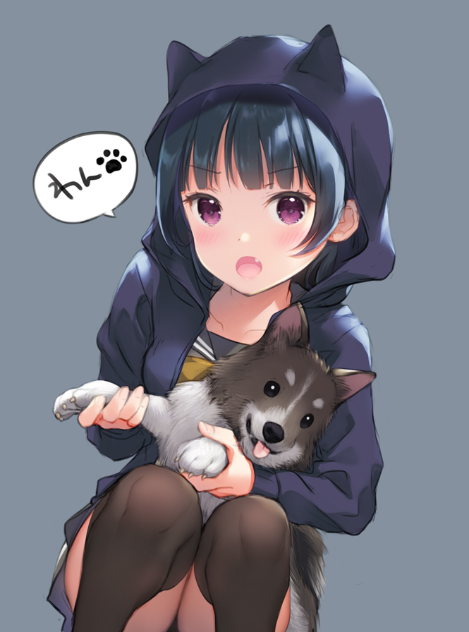 1girl, animal, animal_ears, anko_(love_live!_sunshine!!), black_hair, black_legwear, dog, fake_animal_ears, fang, grey_background, holding, holding_animal, hood, hoodie, looking_at_viewer, love_live!, love_live!_sunshine!!, mignon, open_mouth, puppy, simple_background, skirt, solo, squatting, thigh-highs, tsushima_yoshiko, violet_eyes