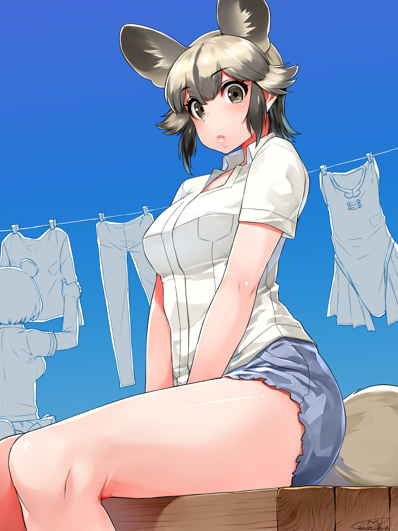 2girls, african_wild_dog_(kemono_friends), african_wild_dog_ears, african_wild_dog_tail, animal_ears, bangs, bare_arms, bare_legs