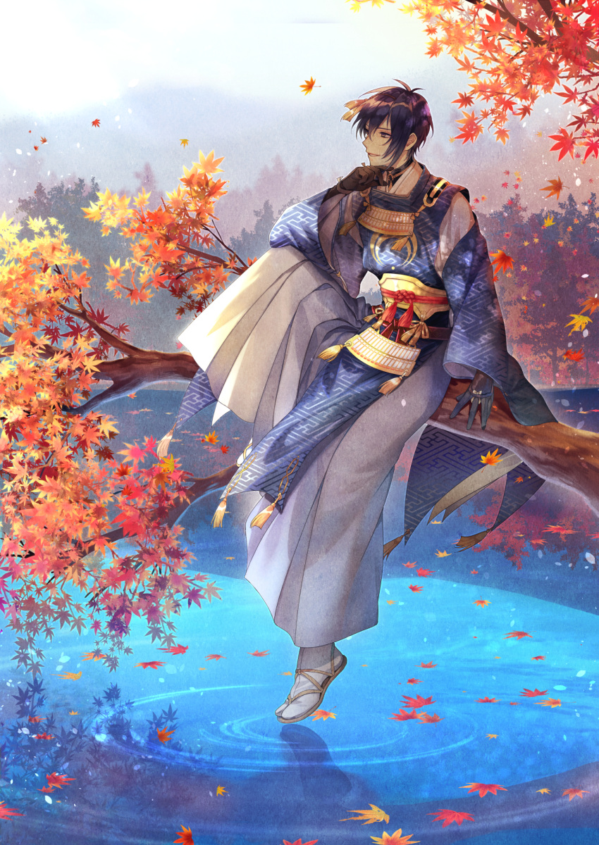 1boy, autumn_leaves, black_gloves, blue_eyes, blue_hair, branch, gloves, hakama