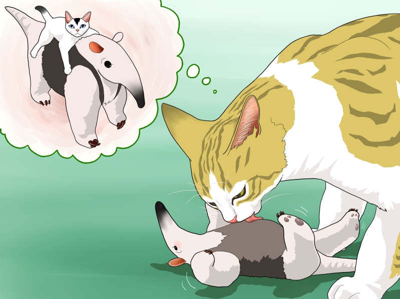 anteater, cat, licking, logos, thinking, tongue, what