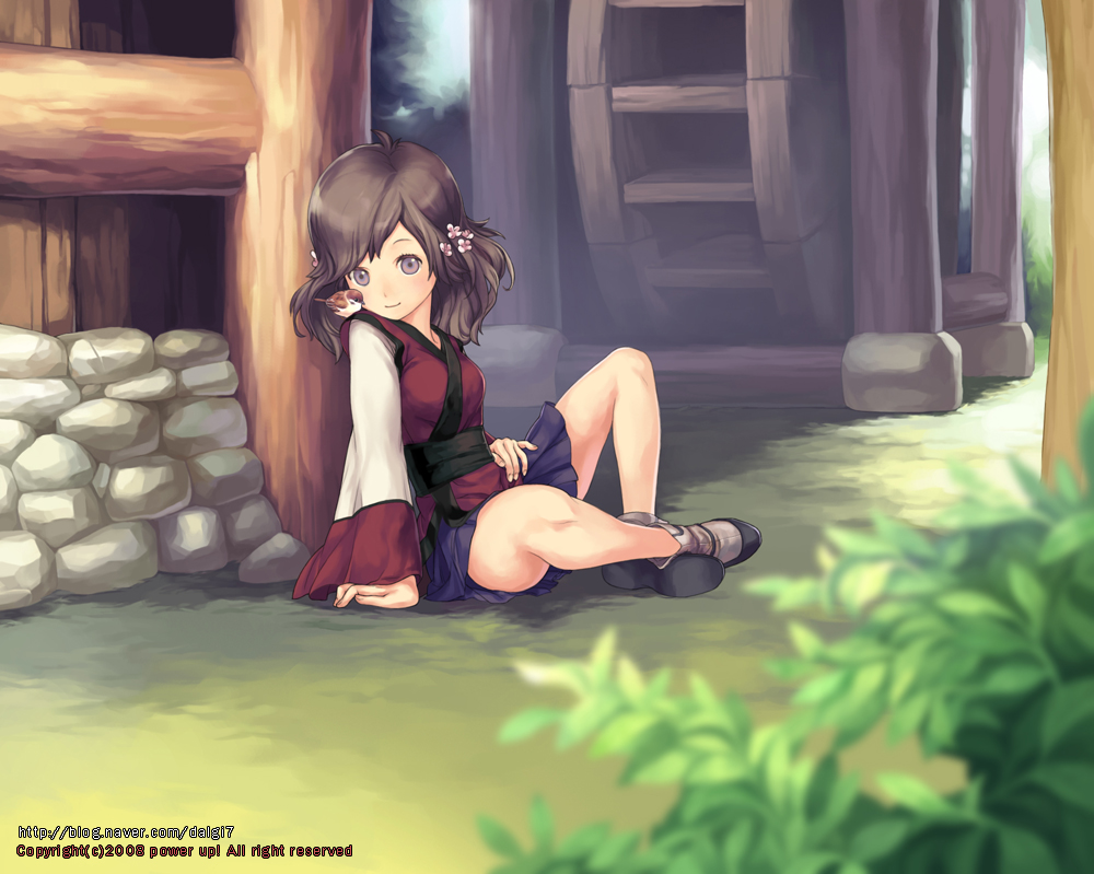 bird, bird_on_shoulder, blurry, brown_hair, comet, comet_(teamon), depth_of_field, flower, grass, hair_flower, hair_ornament, multicolored_eyes, original, sash, sitting, skirt, smile, village, water_wheel, waterwheel, wide_sleeves