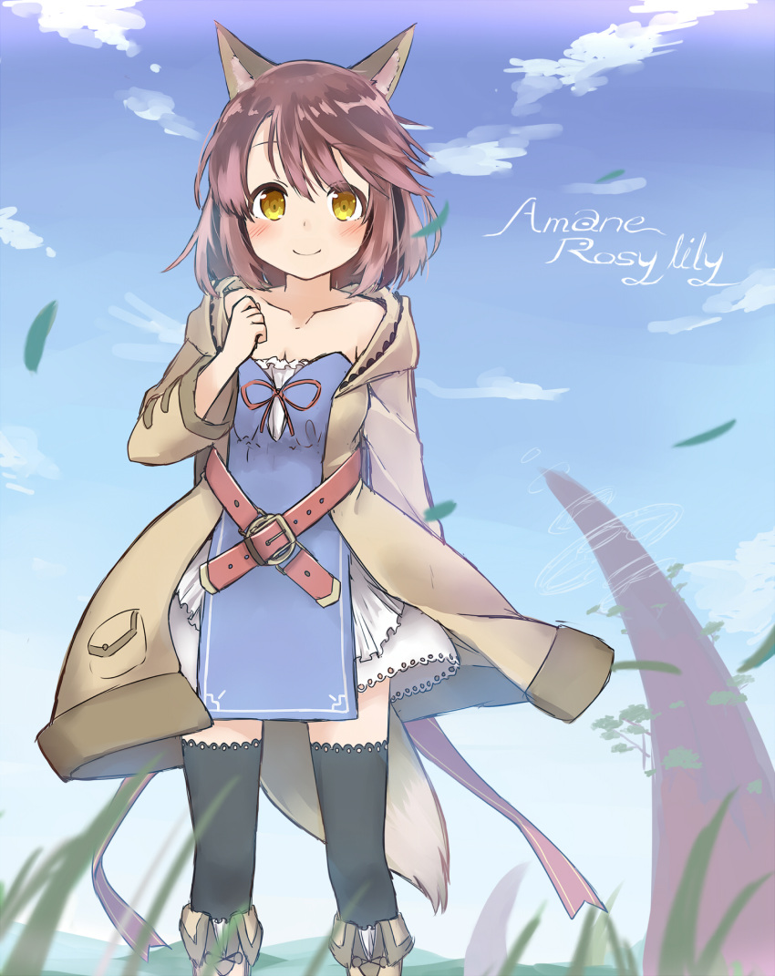 1girl, animal_ears, bangs, belt_buckle, black_legwear, blue_sky, blush, boots