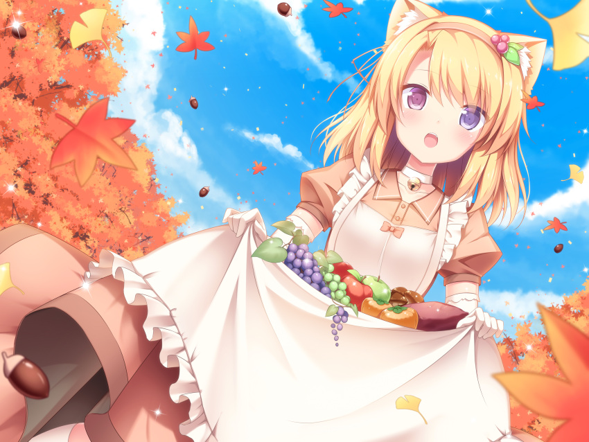 1girl, :o, absurdres, acorn, animal_ears, apple, apron, apron_basket