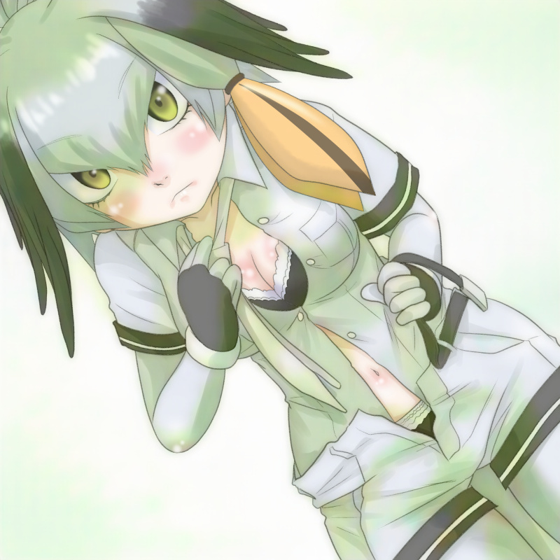 1girl, bangs, belt, black_gloves, black_hair, blush, bra, breast_pocket, breasts, buttons, cleavage, closed_mouth, collarbone, collared_shirt, dutch_angle, expressionless, eyebrows_visible_through_hair, fingerless_gloves, gloves, grey_hair, grey_legwear, grey_neckwear, grey_shirt, grey_shorts, hair_between_eyes, hand_up, holding, kemono_friends, leaning_forward, long_hair, looking_at_viewer, low_ponytail, medium_breasts, multicolored_hair, navel, necktie, open_clothes, open_fly, open_shirt, open_shorts, orange_hair, panties, pantyhose, partially_unbuttoned, pocket, shirt, shoebill_(kemono_friends), short_sleeves, shorts, side_ponytail, solo, standing, stomach, t_jiroo_(ringofriend), unbuckled_belt, underwear, undressing, upper_body, wing_collar, yellow_eyes