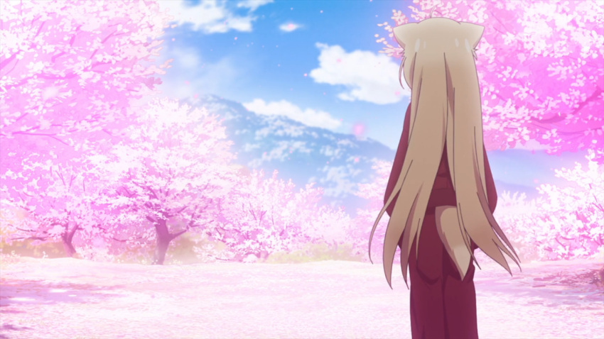 animal_ears, calm, cherry_blossoms, fox_ears, furry, konohana_kitan, scenery, sky