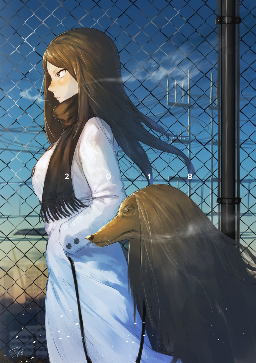 1girl, 2018, afghan_hound, animal, bangs, black_fur, black_hair, black_scarf, blue_sky, blurry, blurry_background, blush, breasts, breath, brown_hair, chain-link_fence, closed_mouth, coat, day, depth_of_field, dog, feet_out_of_frame, fence, fringe, from_side, hands_in_pockets, highres, leash, long_coat, long_hair, long_sleeves, looking_away, medium_breasts, nose_blush, original, outdoors, parted_bangs, power_lines, profile, pyz_(cath_x_tech), scarf, serious, signature, sky, solo, tsurime, walking, white_coat, winter, winter_clothes, winter_coat