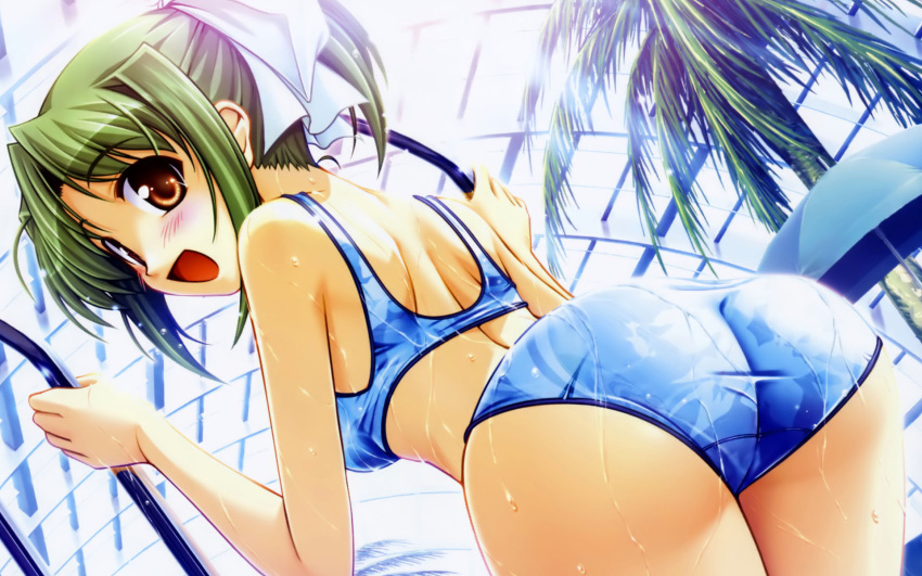 back, bekkankou, bikini, blush, brown_eyes, dutch_angle, from_behind, green_hair, hair_ribbon, happy, highres, looking_back, midriff, palm_tree, ponytail, pool, ribbon, short_hair, swimsuit, tooyama_midori, touyama_midori, tree, wallpaper, wet, yoake_mae_yori_ruri_iro_na