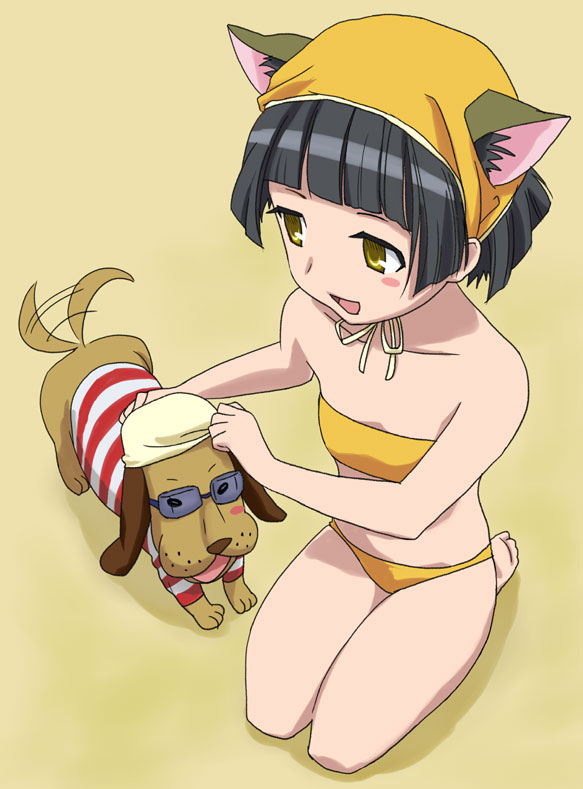 barefoot, bikini, black_hair, bob_cut, cat_ears, dog, dorm_leader, flat_chest