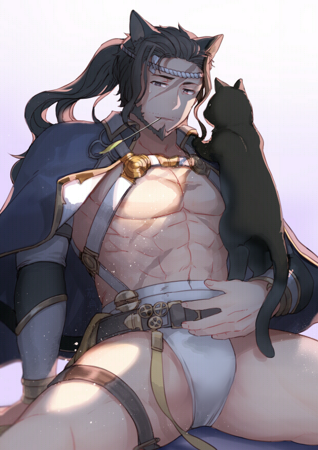 1boy, alternate_costume, animal_ears, beard, black_hair, capelet, cat, cat_ears