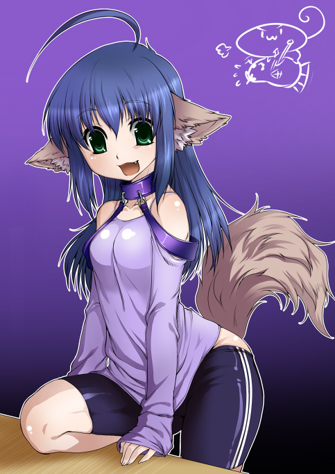 ahoge, animal_ears, bad_id, bike_shorts, blue_hair, collar, fang, green_eyes