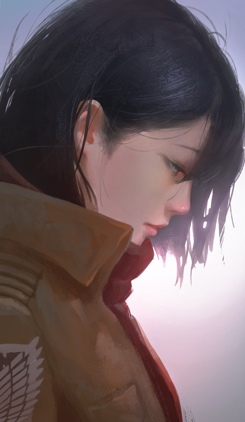 1girl, absurdres, black_hair, blue_eyes, danny_(china), highres, long_hair, looking_to_the_side, mikasa_ackerman, portrait, profile, shingeki_no_kyojin, solo