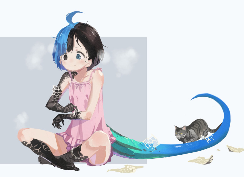 1girl, ahoge, bare_arms, bare_legs, barefoot, black_eyes, black_hair, blue_eyes, blue_hair, blush, boyshorts, cat, claws, closed_mouth, commentary_request, full_body, heterochromia, highres, indian_style, japanese_skink_(kamemaru), kamemaru, lizard_girl, looking_down, monster_girl, multicolored_hair, original, pajamas, pink_shirt, scales, shearing, shedding, shirt, short_hair, sitting, sleeveless, sleeveless_shirt, solo, tail, two-tone_hair
