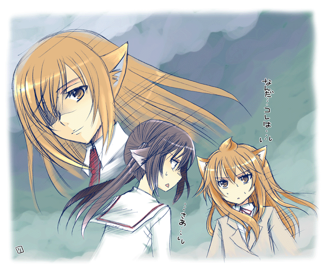 animal_ears, brown_eyes, brown_hair, hair_over_one_eye, long_hair, minami-ke, minami_chiaki, minami_haruka