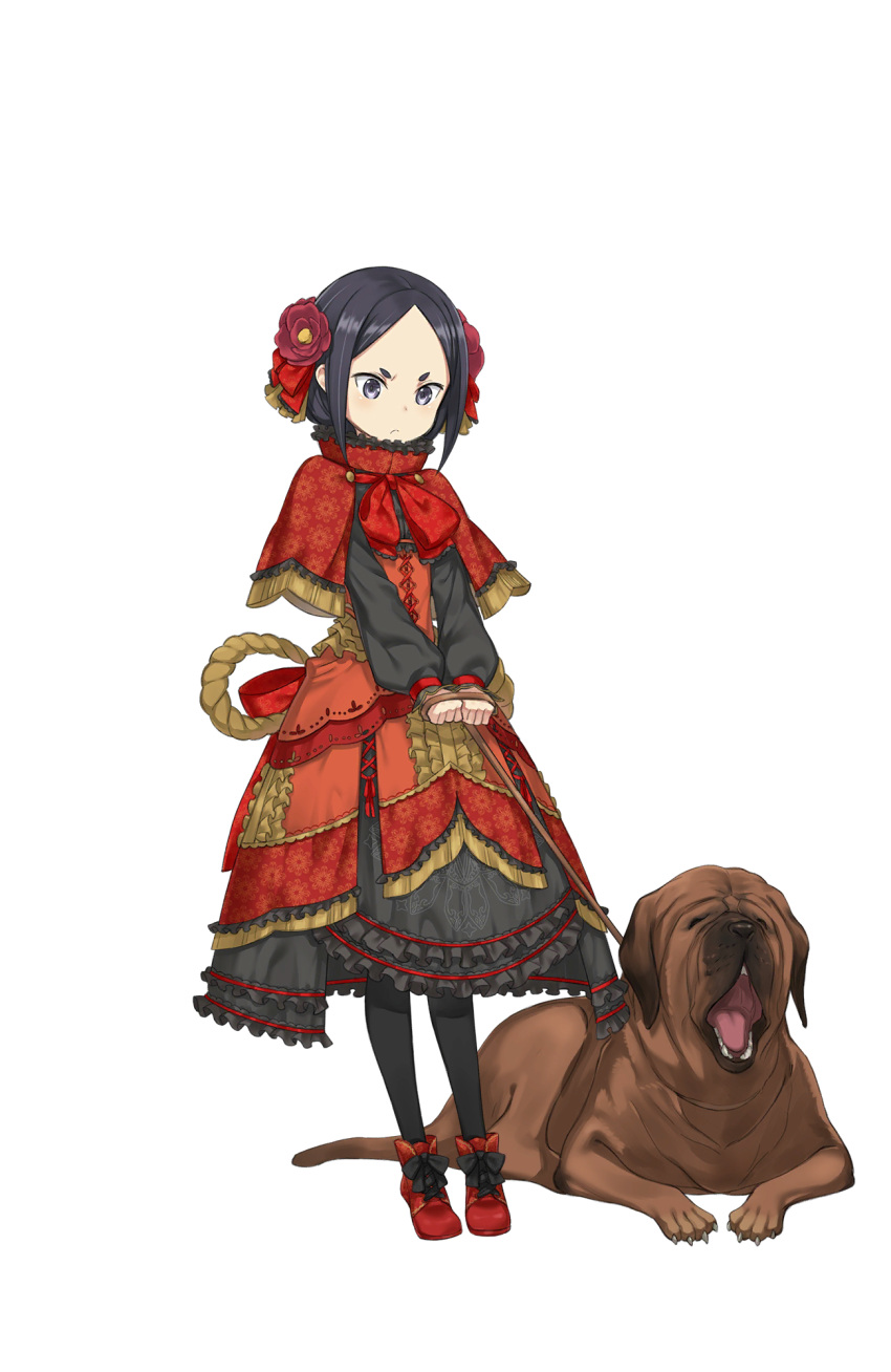 1girl, black_eyes, black_footwear, black_hair, black_legwear, capelet, cross-laced_clothes, dog