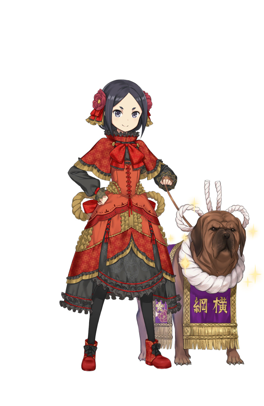 1girl, black_eyes, black_footwear, black_hair, black_legwear, capelet, cross-laced_clothes, dog