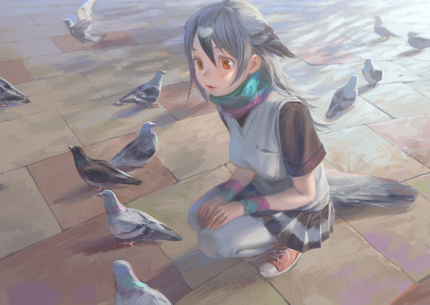 1girl, animal, aqua_scarf, bird, bird_tail, bird_wings, black_shirt, breast_pocket