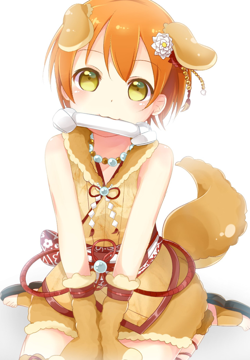 1girl, :3, animal_costume, animal_ears, backlighting, blush, bone, dog_costume