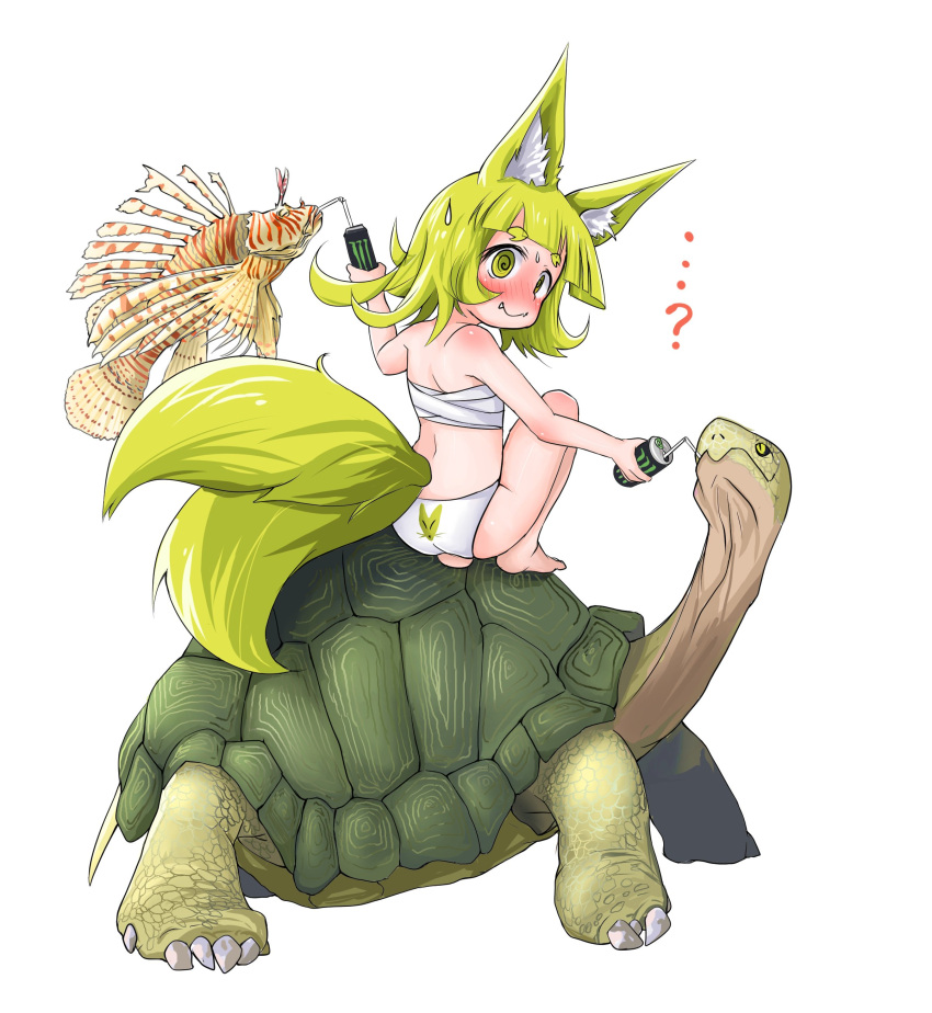 ..., ...?, 1girl, ?, @_@, absurdres, animal_ears, animal_print, back, bangs, bare_legs, bare_shoulders, barefoot, blonde_hair, blunt_bangs, blush, closed_mouth, doitsuken, drinking_straw, embarrassed, eyebrows_visible_through_hair, fang_out, fangs, fangs_out, fish, fox_child_(doitsuken), fox_ears, fox_tail, full-face_blush, galapagos_tortoise, highres, holding, looking_at_viewer, monster_energy, multiple_tails, original, panties, print_panties, sarashi, short_eyebrows, simple_background, sipping, solo, squatting, sweatdrop, tail, thick_eyebrows, tortoise, turtle, two_tails, underwear, white_background, white_panties, yellow_eyes