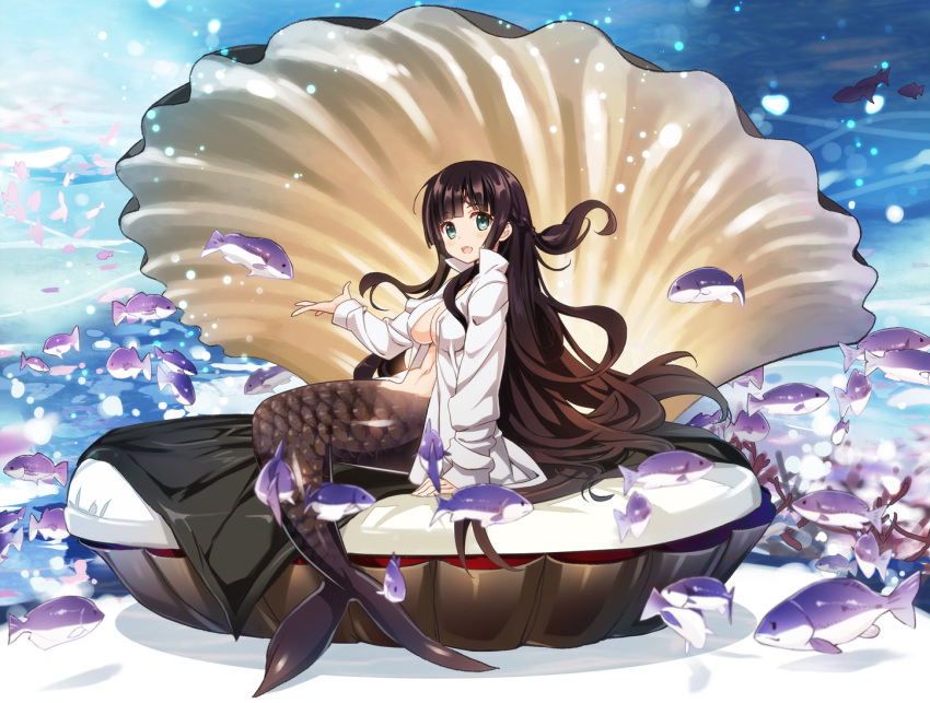 1girl, :d, black_hair, blue_eyes, braid, breasts, clam, cleavage