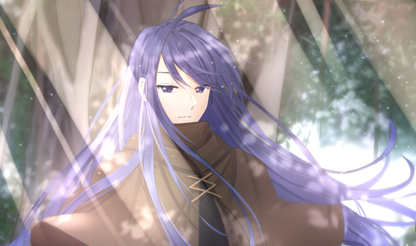 1boy, ahoge, character_request, closed_mouth, eyebrows_visible_through_hair, light_rays, long_hair, looking_at_viewer