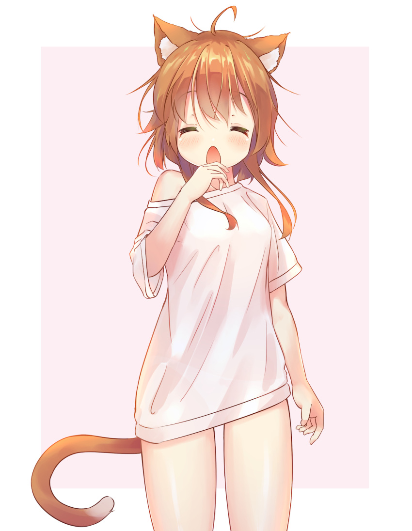 1girl, :o, animal_ears, arm_at_side, bangs, blush, border, cat_ears
