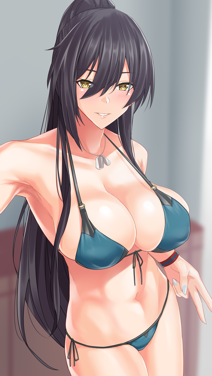 1girl, bikini, black_hair, blush, breasts, cleavage, collarbone, dog_tags