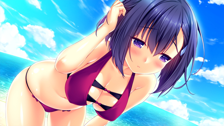1girl, bikini, blush, breasts, erika_(tropical_liquor), large_breasts, purple_hair, sayori