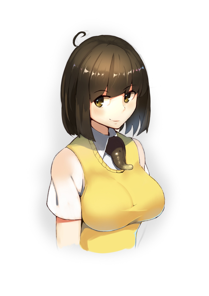 1girl, absurdres, ahoge, blush, breasts, brown_eyes, brown_hair, closed_mouth
