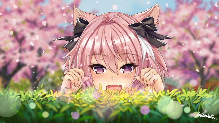 1boy, :d, animal_ears, astolfo_(fate), bangs, black_bow, blue_sky, blurry, blurry_background, blush, bow, cat_ears, catboy, cherry_blossoms, commentary, commission, day, depth_of_field, eyebrows_visible_through_hair, eyelashes, face, fang, fate/apocrypha, fate_(series), fingernails, flower, grass, hair_bow, hair_intakes, half-closed_eyes, hands_up, happy, highres, light_particles, long_hair, looking_at_viewer, male_focus, multicolored_hair, open_mouth, outdoors, paw_pose, petals, pink_hair, raised_eyebrows, shiny, shiny_hair, signature, sky, smile, solo, streaked_hair, trap, tree, two-tone_hair, violet_eyes, white_hair, wobblekun, yellow_flower