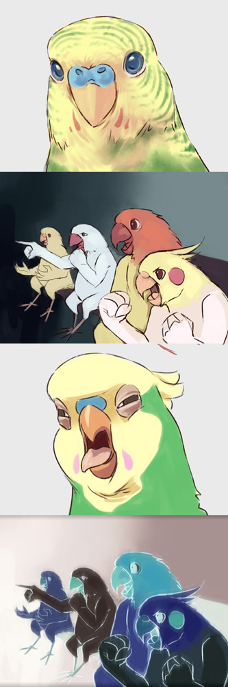 bad_id, bird, birds, cockatiel, comic, era_(traveling_bird), fishball, gaijin_4koma