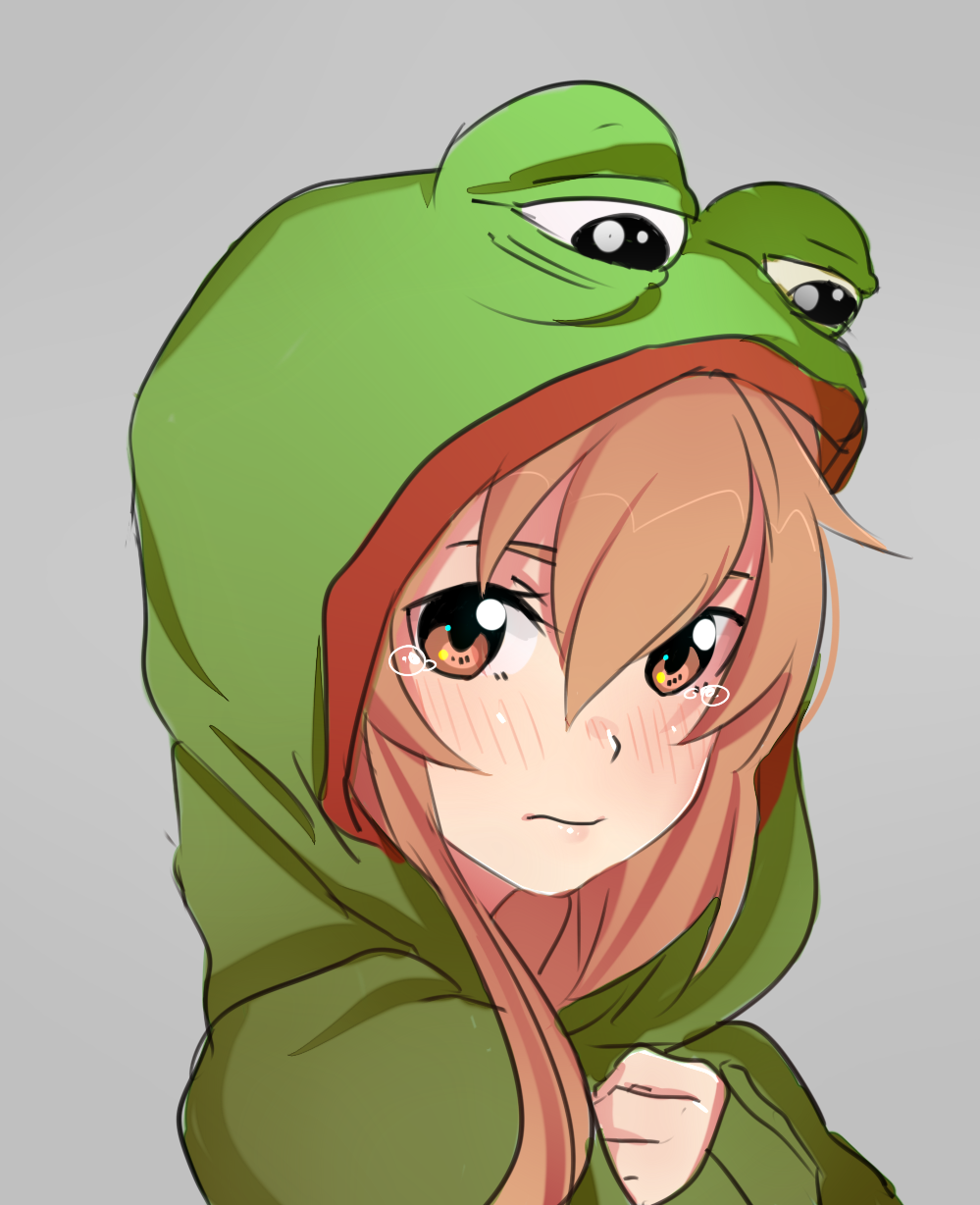 1girl, aisaka_taiga, bangs, blush, boy's_club, brown_eyes, brown_hair, closed_mouth