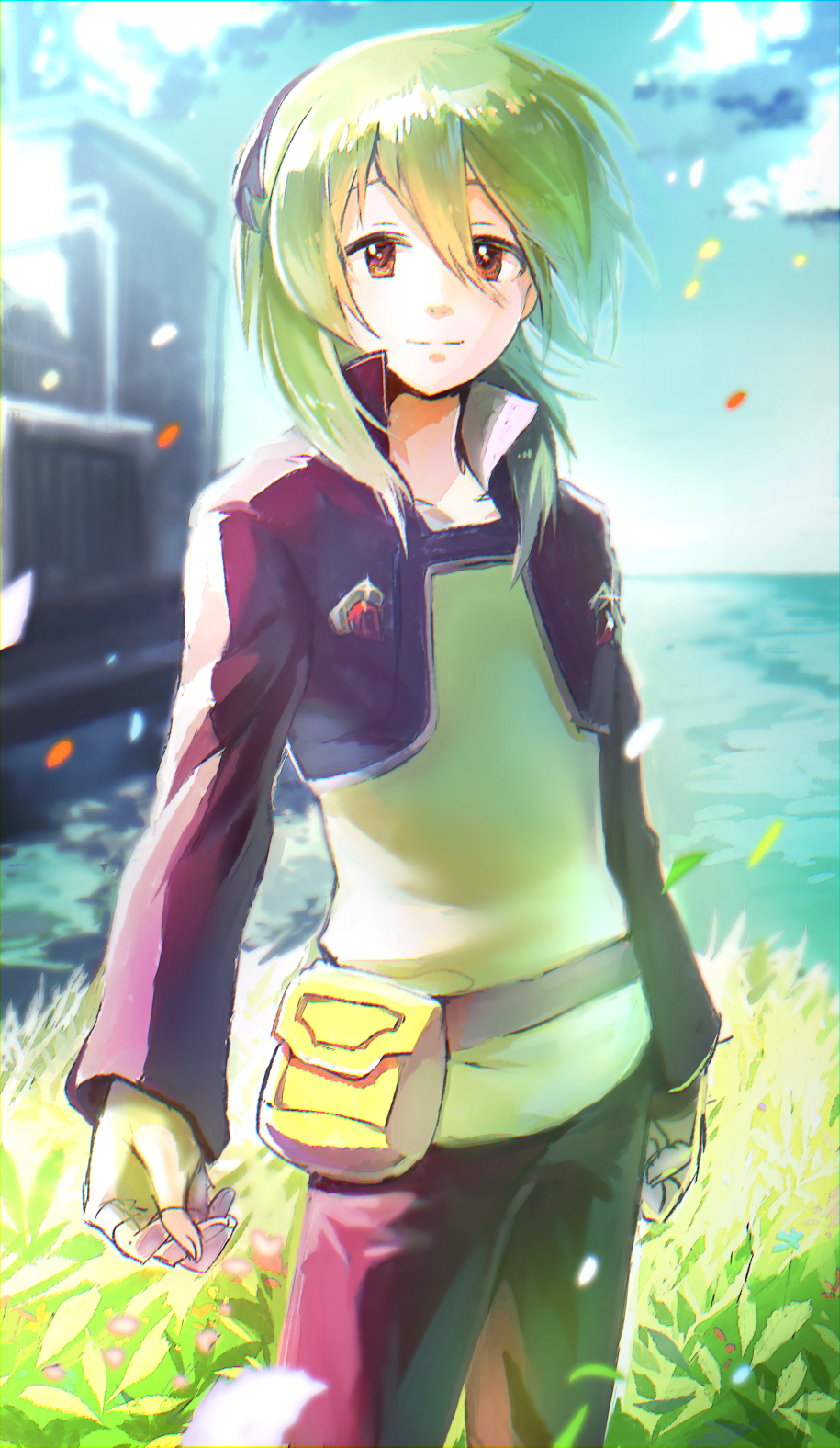 1boy, androgynous, brown_eyes, capcom, clouds, cropped_jacket, fingerless_gloves, futaba_tsukasa, gloves, grass, green_eyes, hair_between_eyes, highres, leaf, long_hair, male_focus, ocean, rockman, ryuusei_no_rockman, sky, solo, standing, takami_claire