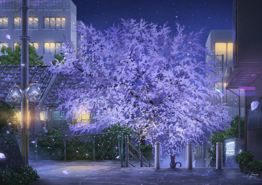 animal, balcony, black_cat, building, bush, cat, chain-link_fence, cherry_blossoms