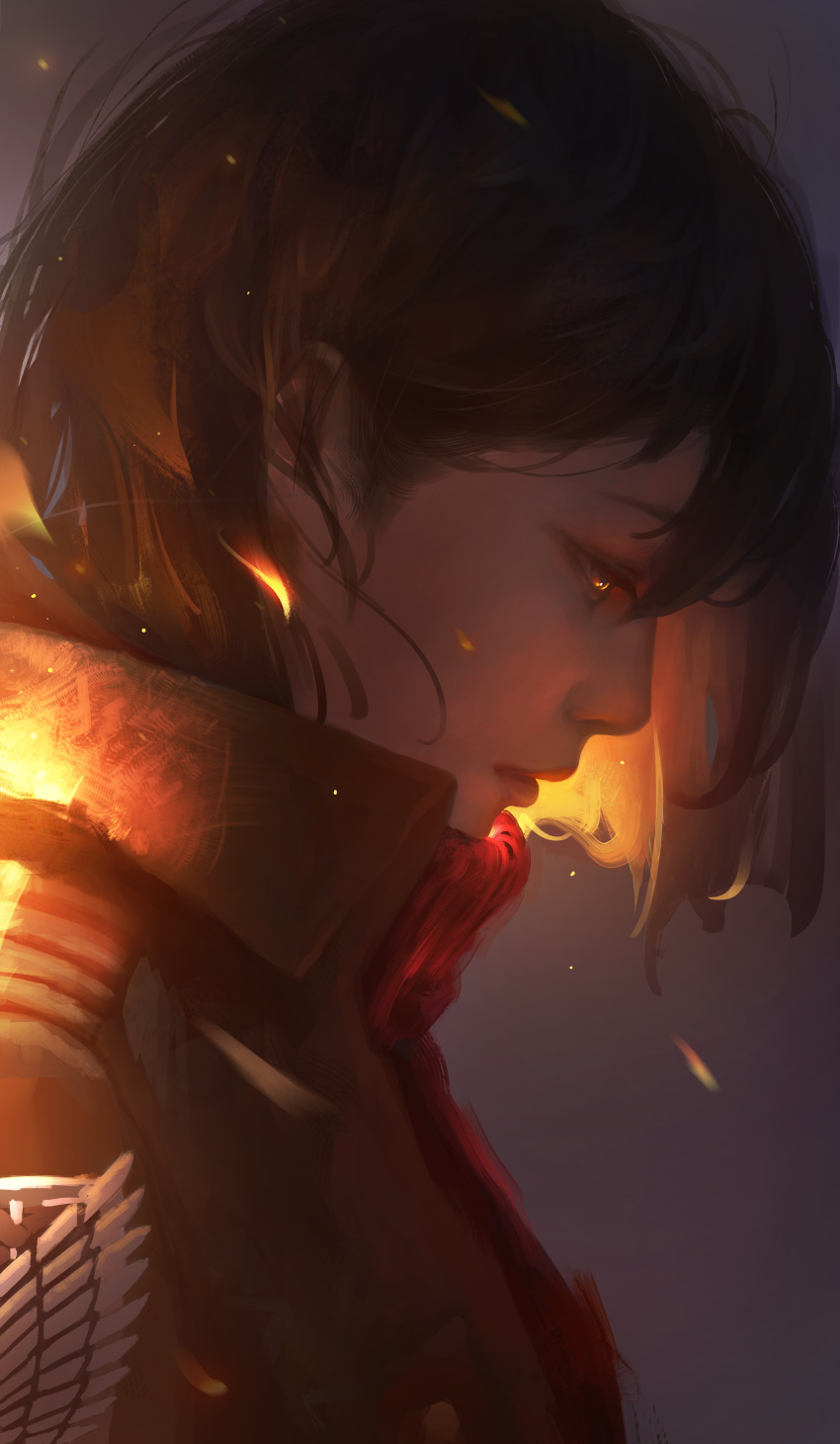 1girl, absurdres, black_hair, danny_(china), emblem, highres, long_hair, looking_to_the_side