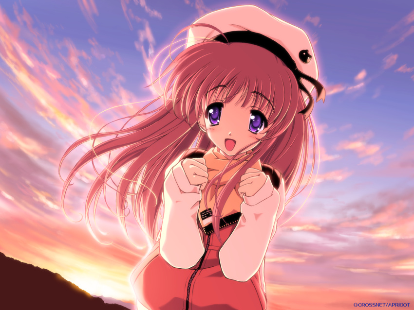 aio_momiji, maple_colors, sky, tagme, winter