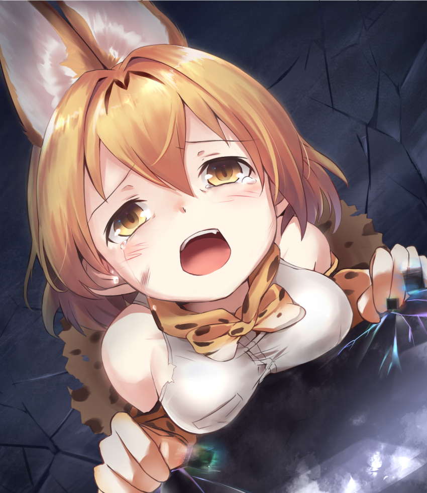 1girl, animal_ears, bare_shoulders, black_cerulean_(kemono_friends), blonde_hair, blush, bow, bowtie