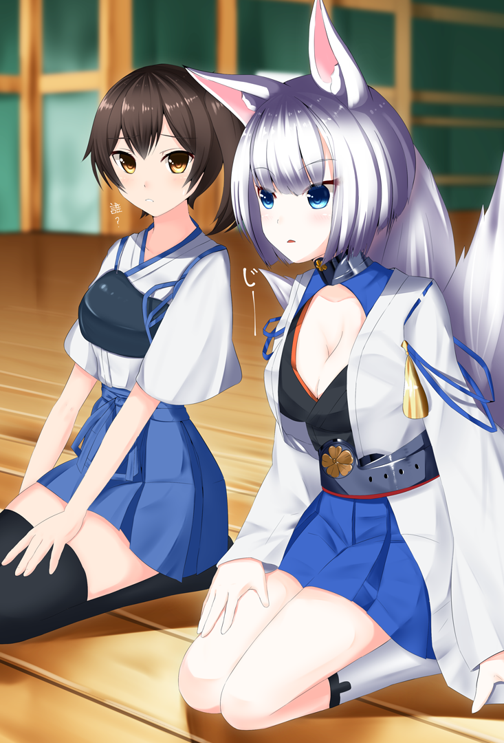 2girls, angel_ina, animal_ears, azur_lane, bangs, black_legwear, blue_eyes, blue_skirt, blunt_bangs, blush, breasts, brown_eyes, brown_hair, cleavage, crossover, eyebrows_visible_through_hair, fox_ears, fox_tail, hakama_skirt, japanese_clothes, kaga_(azur_lane), kaga_(kantai_collection), kantai_collection, kimono, kitsune, large_breasts, long_sleeves, miniskirt, multiple_girls, muneate, ponytail, sash, seiza, short_hair, short_sleeves, side_ponytail, silver_hair, sitting, skirt, tail, thigh-highs, tied_hair, white_kimono