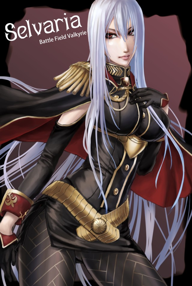 ain, ain_(artist), belt, cape, dress, gloves, large_breasts, long_hair