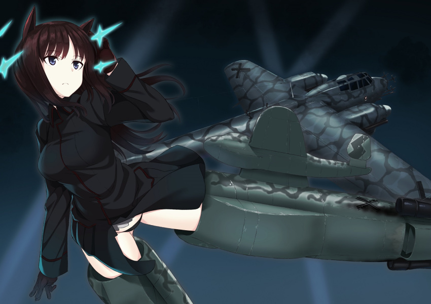 1girl, a9b_(louis814), aircraft, airplane, animal_ears, black_panties, blue_eyes, brown_hair