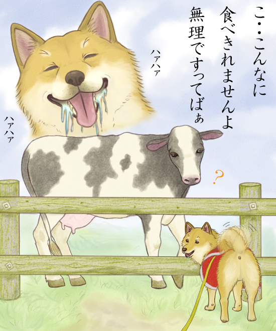 7c', 7c', animal, cow, dog, saliva, shiba_inu, tail