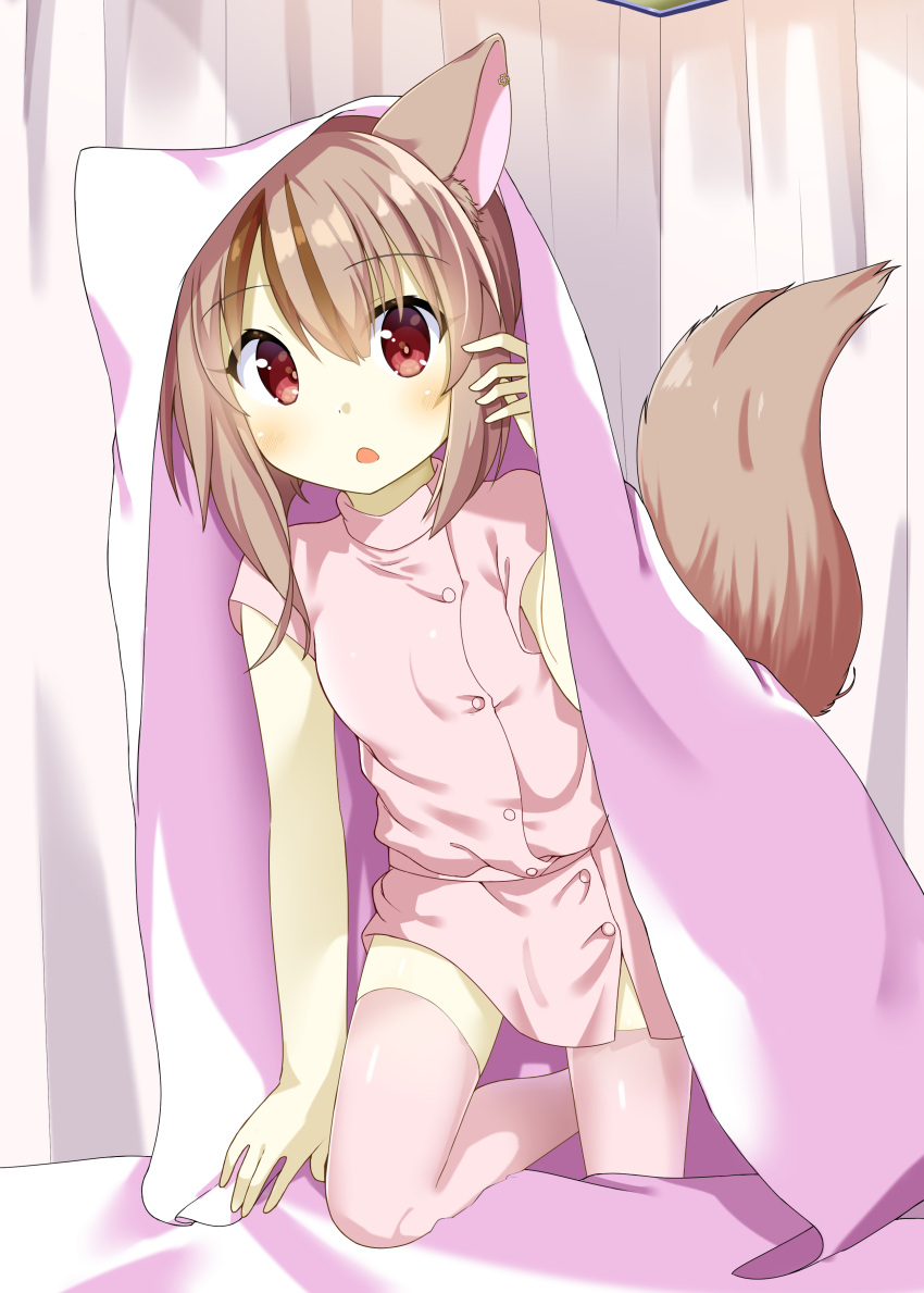 1girl, :o, absurdres, animal_ears, bed, bed_sheet, brown_hair, chaakusu