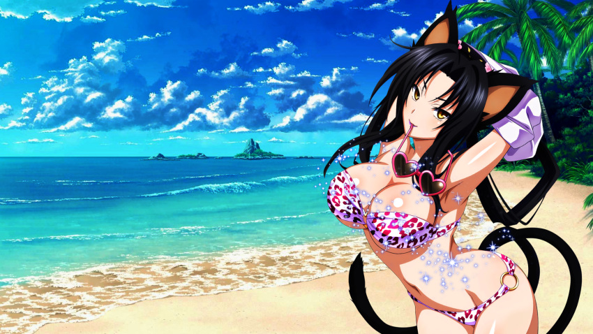 1girl, animal_ears, beach, bikini, black_hair, breasts, cat_ears, cat_tail