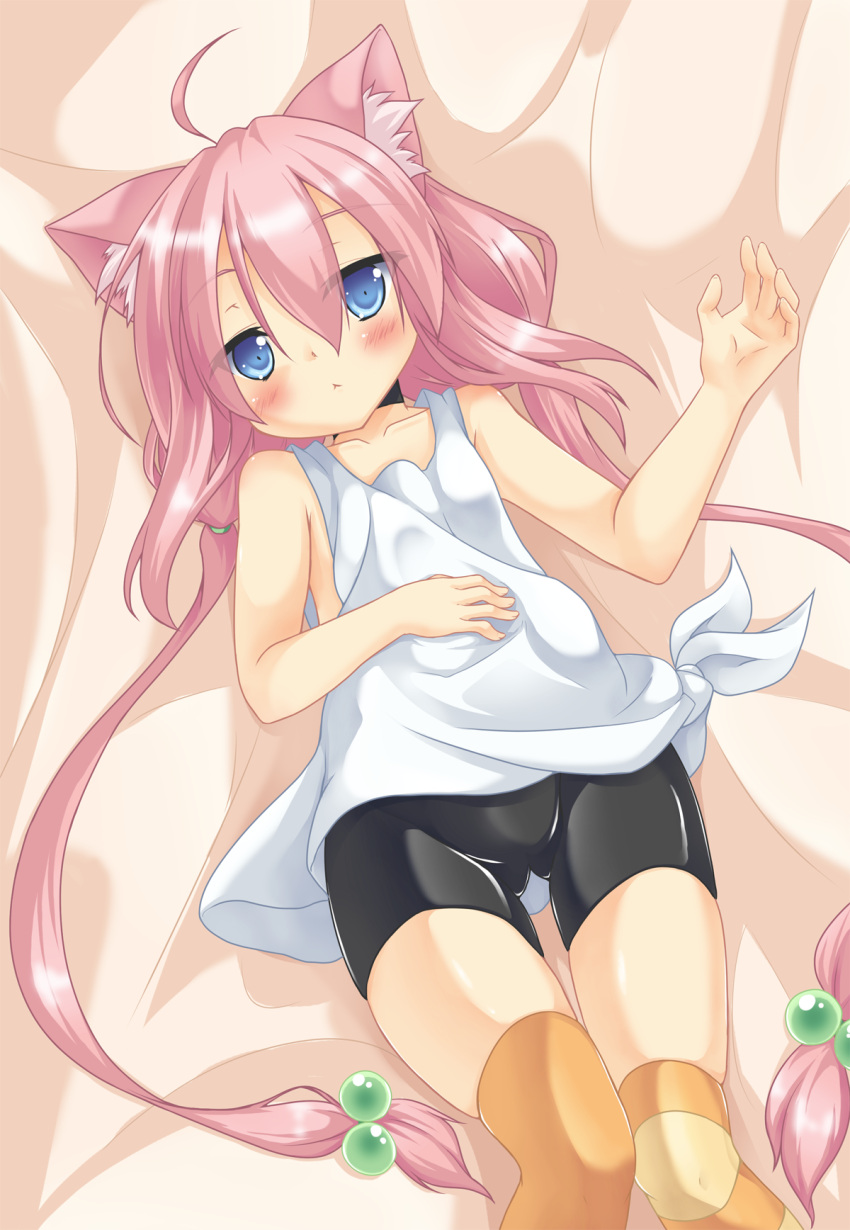 1girl, :<, ahoge, animal_ears, bike_shorts, blue_eyes, cat_ears, choker