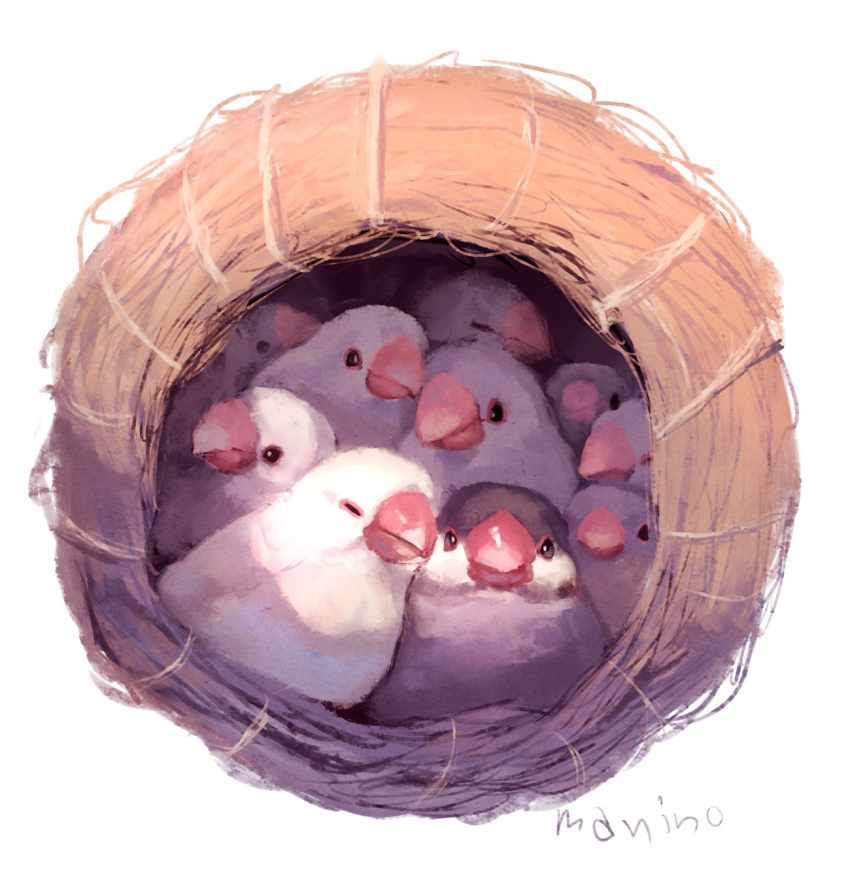 bird, black_eyes, closed_eyes, closed_mouth, commentary_request, highres, java_sparrow, looking_at_viewer